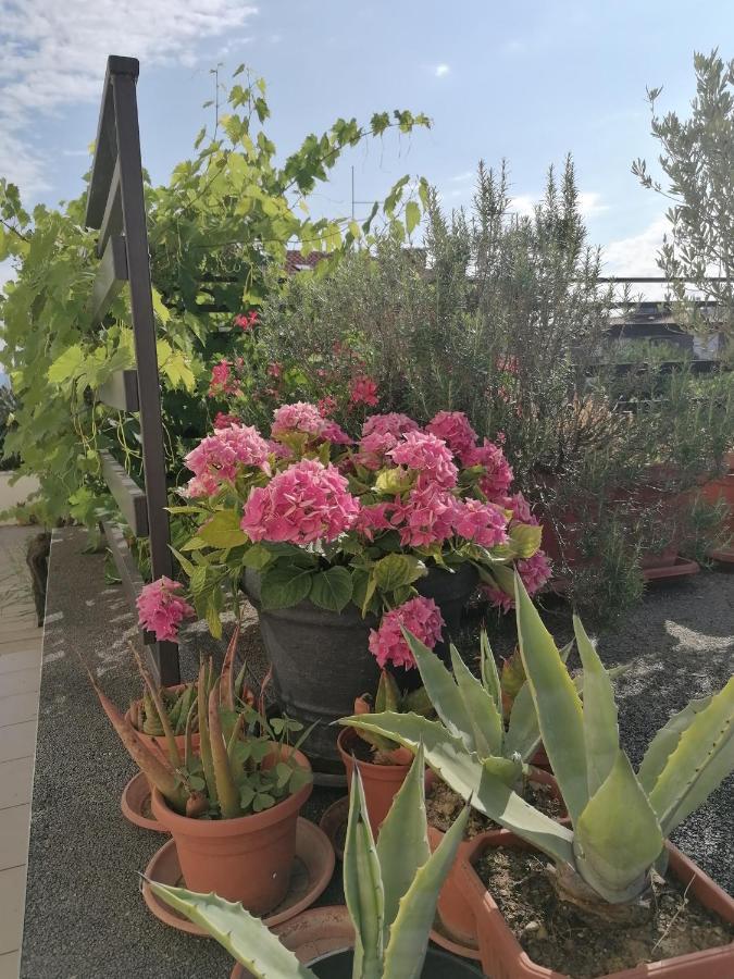 Lavanda Apartment Izola Bagian luar foto